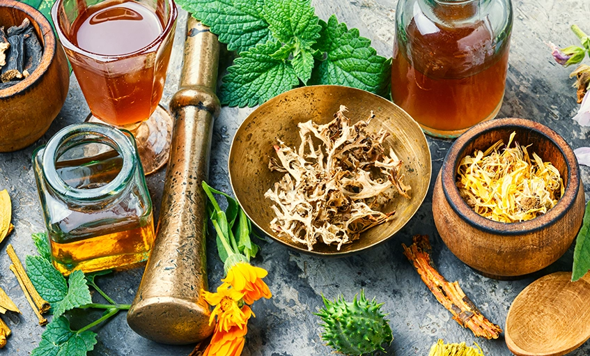 Herbal Ingredients and Tools for Natural Therapy Preparation